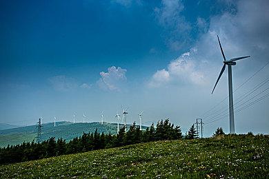 外媒称任天堂在日本游戏市场 连续压制索尼20年